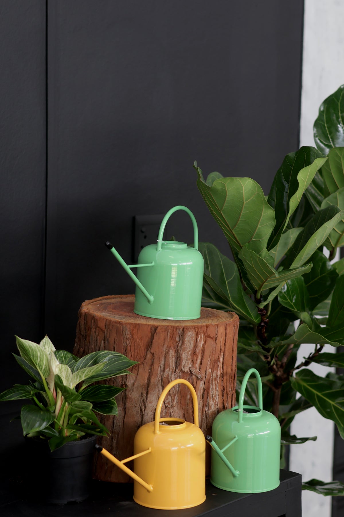 Watering Can