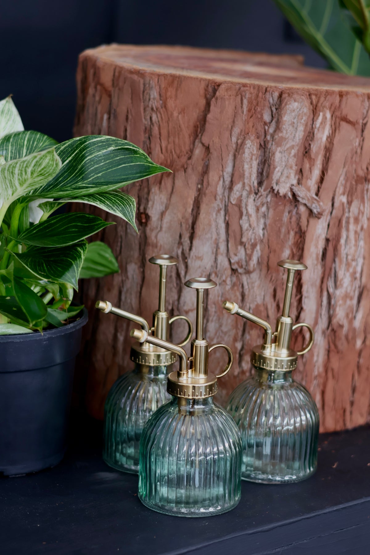 Glass Plant Mister