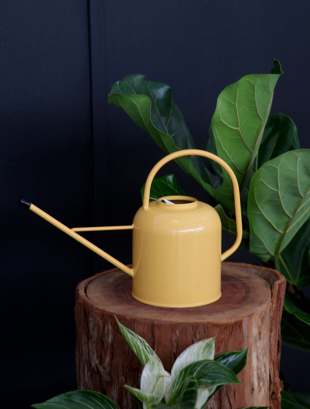 Watering Can